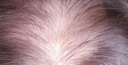 Click Here For a Closer Look!