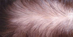 Click Here For a Closer Look!