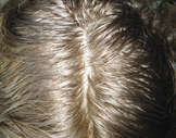 Click Here For a Closer Look!
