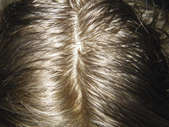 Click Here For a Closer Look!