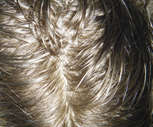 Click Here For a Closer Look!